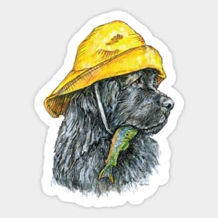Newfoundland Dog in Sou'wester Hat with Fish Sticker